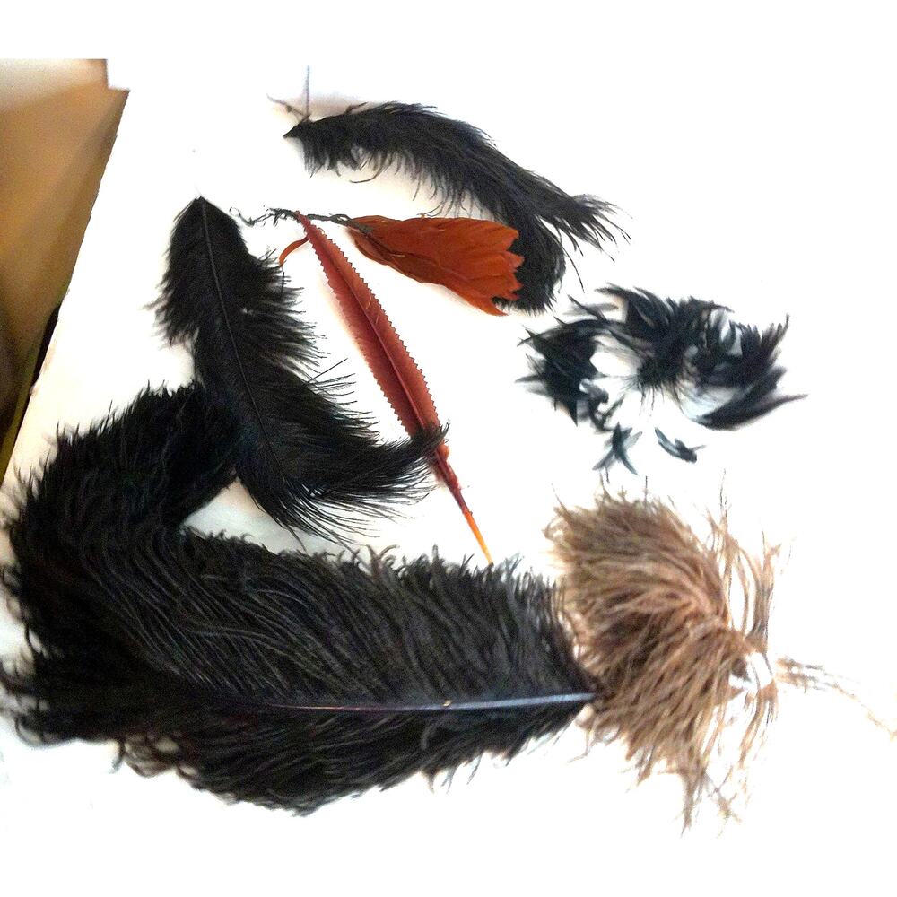 Vintage Millinery Hat Feathers Plumes Lot Ostrich Pheasant Fascinator Craft Mix